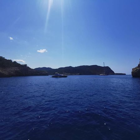 Charmant Appartement De Vacances Au Coeur D'Argeles المظهر الخارجي الصورة