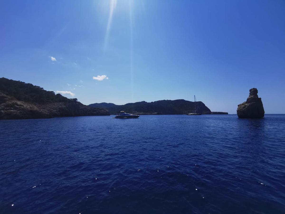 Charmant Appartement De Vacances Au Coeur D'Argeles المظهر الخارجي الصورة