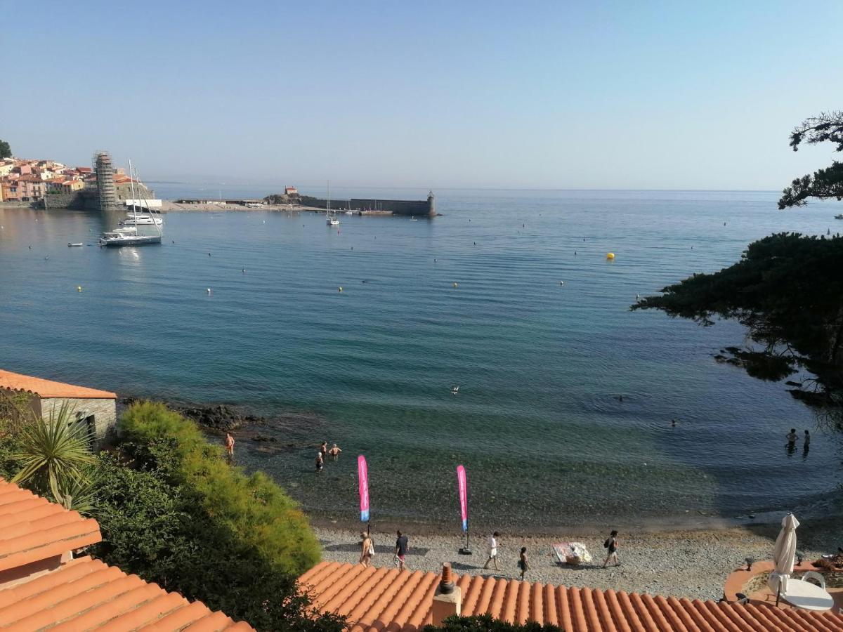 Charmant Appartement De Vacances Au Coeur D'Argeles المظهر الخارجي الصورة